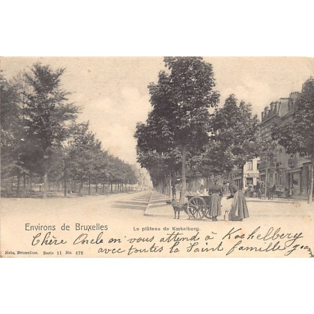 Rare collectable postcards of BELGIUM Belgique België. Vintage Postcards of BELGIUM Belgique België