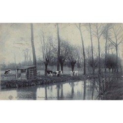 Rare collectable postcards of BELGIUM Belgique België. Vintage Postcards of BELGIUM Belgique België