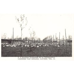 Rare collectable postcards of BELGIUM Belgique België. Vintage Postcards of BELGIUM Belgique België