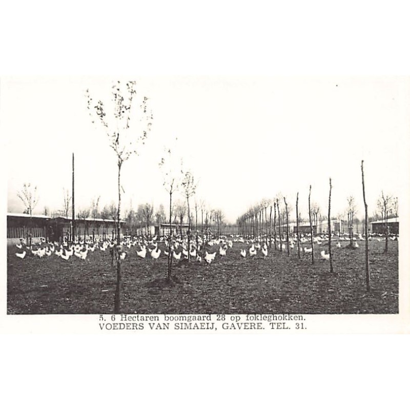 Rare collectable postcards of BELGIUM Belgique België. Vintage Postcards of BELGIUM Belgique België