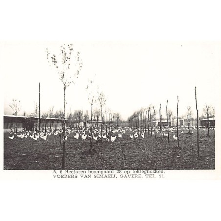 Rare collectable postcards of BELGIUM Belgique België. Vintage Postcards of BELGIUM Belgique België