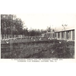 Rare collectable postcards of BELGIUM Belgique België. Vintage Postcards of BELGIUM Belgique België