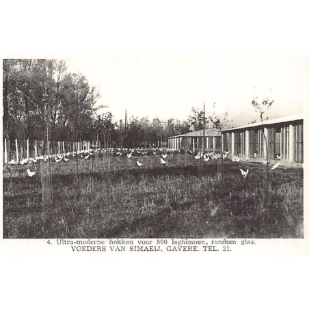 Rare collectable postcards of BELGIUM Belgique België. Vintage Postcards of BELGIUM Belgique België