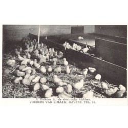 Rare collectable postcards of BELGIUM Belgique België. Vintage Postcards of BELGIUM Belgique België