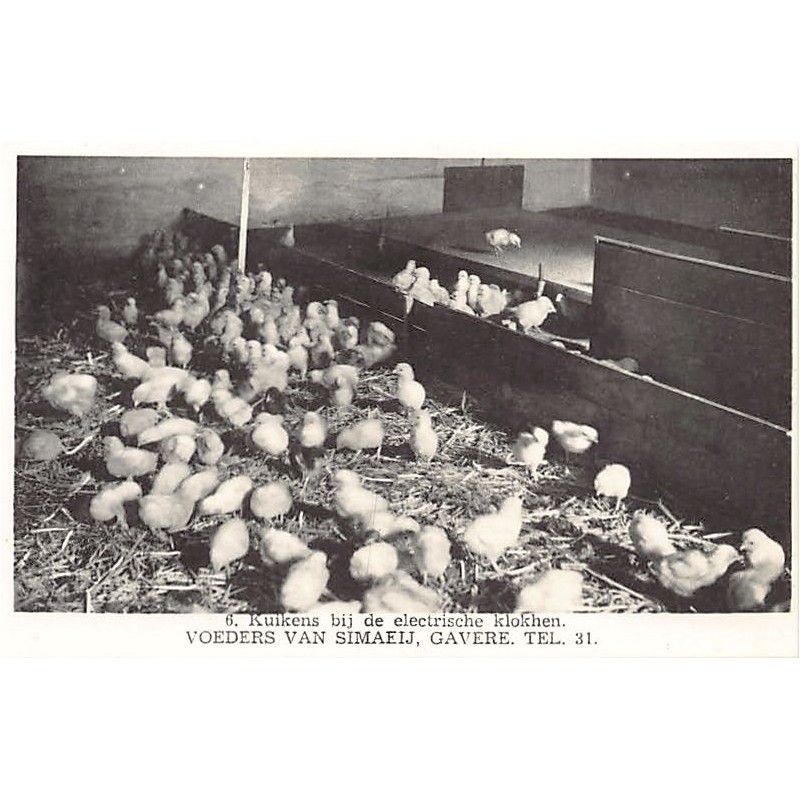 Rare collectable postcards of BELGIUM Belgique België. Vintage Postcards of BELGIUM Belgique België