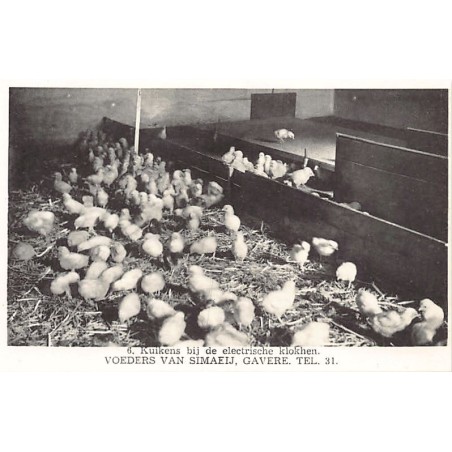 Rare collectable postcards of BELGIUM Belgique België. Vintage Postcards of BELGIUM Belgique België