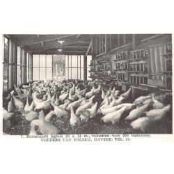 Rare collectable postcards of BELGIUM Belgique België. Vintage Postcards of BELGIUM Belgique België