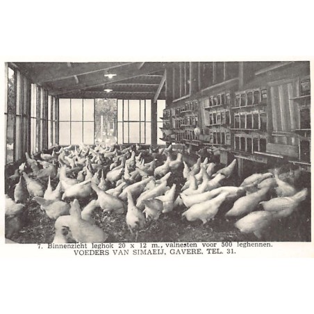 Rare collectable postcards of BELGIUM Belgique België. Vintage Postcards of BELGIUM Belgique België