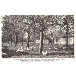 Rare collectable postcards of BELGIUM Belgique België. Vintage Postcards of BELGIUM Belgique België