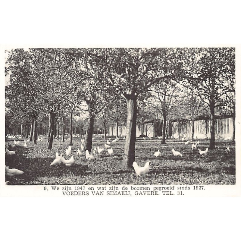 Rare collectable postcards of BELGIUM Belgique België. Vintage Postcards of BELGIUM Belgique België