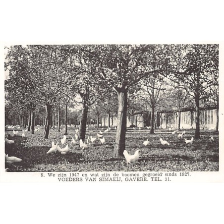 Rare collectable postcards of BELGIUM Belgique België. Vintage Postcards of BELGIUM Belgique België