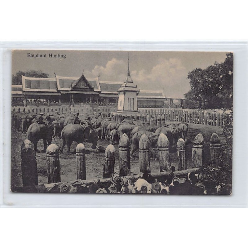 Rare collectable postcards of THAILAND. Vintage Postcards of THAILAND