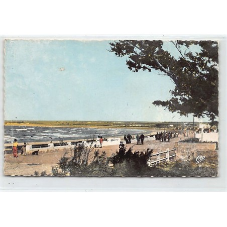 Rare collectable postcards of MAROC. Vintage Postcards of MAROC