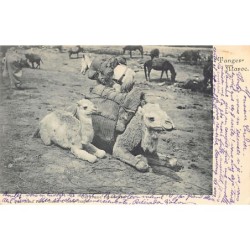 Rare collectable postcards of MAROC. Vintage Postcards of MAROC