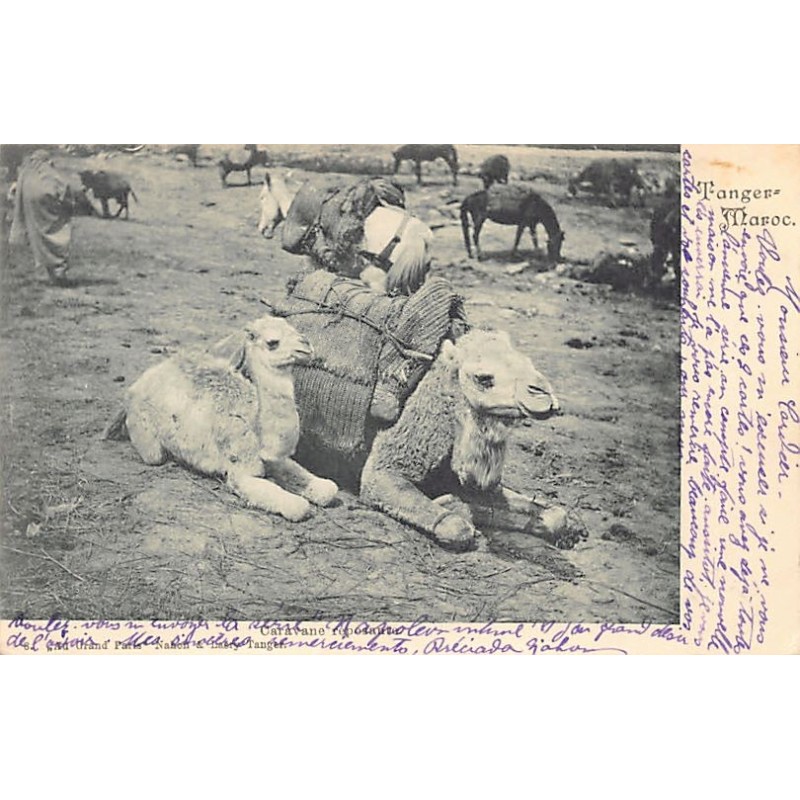 Rare collectable postcards of MAROC. Vintage Postcards of MAROC