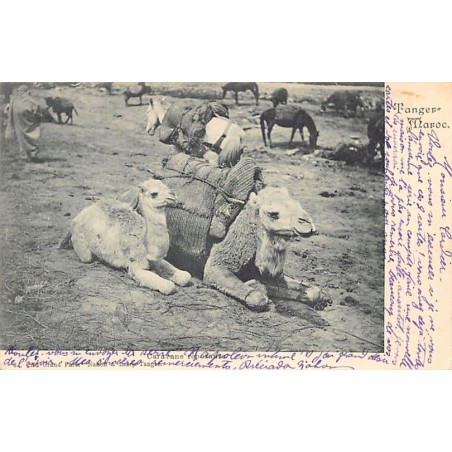 Rare collectable postcards of MAROC. Vintage Postcards of MAROC