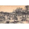 Rare collectable postcards of VIET-NAM. Vintage Postcards of VIET-NAM