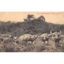 Rare collectable postcards of VIET-NAM. Vintage Postcards of VIET-NAM