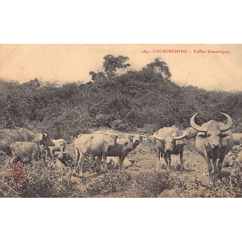 Rare collectable postcards of VIET-NAM. Vintage Postcards of VIET-NAM