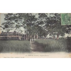 Rare collectable postcards of VIET-NAM. Vintage Postcards of VIET-NAM