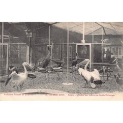 Rare collectable postcards of VIET-NAM. Vintage Postcards of VIET-NAM