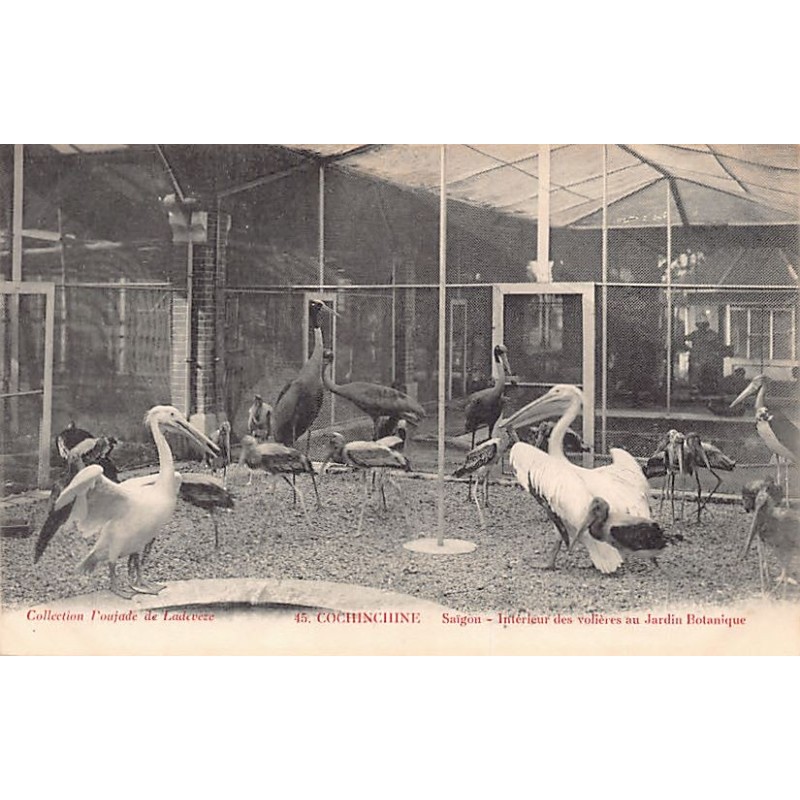 Rare collectable postcards of VIET-NAM. Vintage Postcards of VIET-NAM