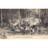Rare collectable postcards of VIET-NAM. Vintage Postcards of VIET-NAM