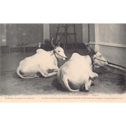 Rare collectable postcards of VIET-NAM. Vintage Postcards of VIET-NAM