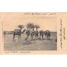 Yemen - HODEIDAH - Camels at rest - Publ. L. Tjambaz 24.