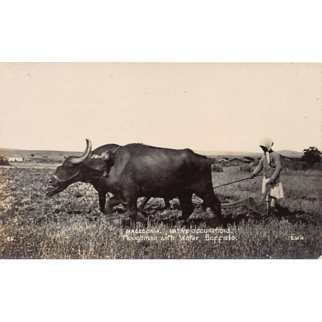 Rare collectable postcards of MACEDONIA. Vintage Postcards of MACEDONIA