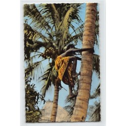 Rare collectable postcards of BENIN Dahomey. Vintage Postcards of BENIN Dahomey