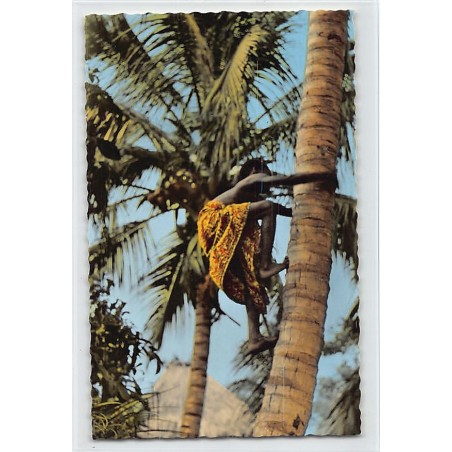 Rare collectable postcards of BENIN Dahomey. Vintage Postcards of BENIN Dahomey