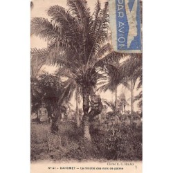 Rare collectable postcards of BENIN Dahomey. Vintage Postcards of BENIN Dahomey