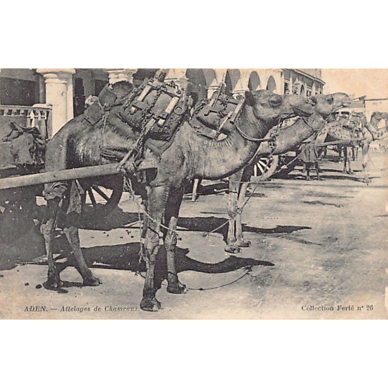 Rare collectable postcards of YEMEN. Vintage Postcards of YEMEN