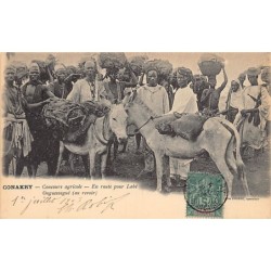 Rare collectable postcards of GUINEA CONAKRY. Vintage Postcards of GUINEA CONAKRY