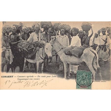 Rare collectable postcards of GUINEA CONAKRY. Vintage Postcards of GUINEA CONAKRY