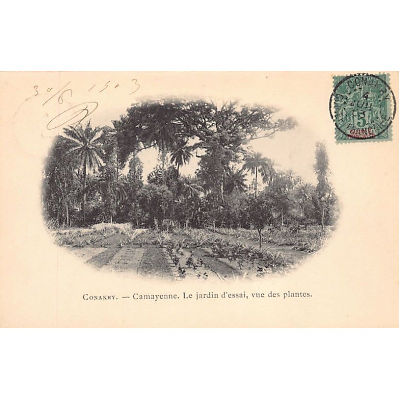 Rare collectable postcards of GUINEA CONAKRY. Vintage Postcards of GUINEA CONAKRY