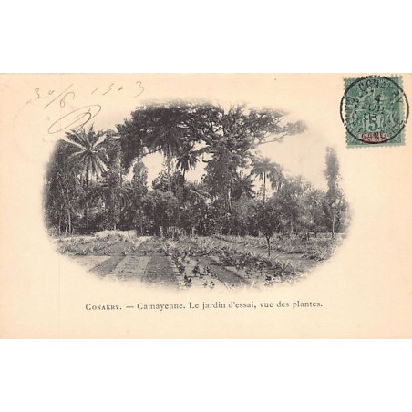 Rare collectable postcards of GUINEA CONAKRY. Vintage Postcards of GUINEA CONAKRY