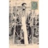 Rare collectable postcards of GUINEA CONAKRY. Vintage Postcards of GUINEA CONAKRY