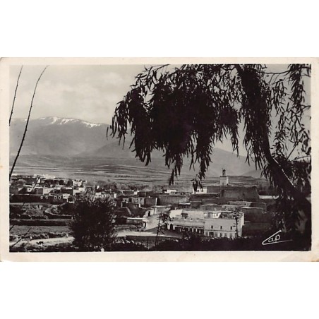 Rare collectable postcards of ALGERIA. Vintage Postcards of ALGERIA
