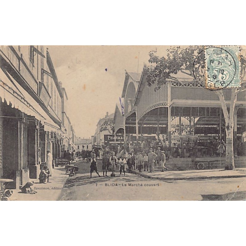 Rare collectable postcards of ALGERIA. Vintage Postcards of ALGERIA