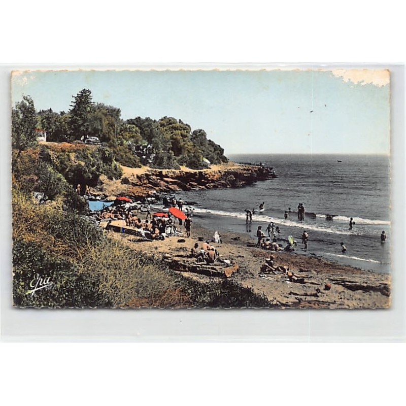 Rare collectable postcards of ALGERIA. Vintage Postcards of ALGERIA