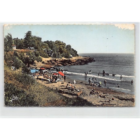 Rare collectable postcards of ALGERIA. Vintage Postcards of ALGERIA