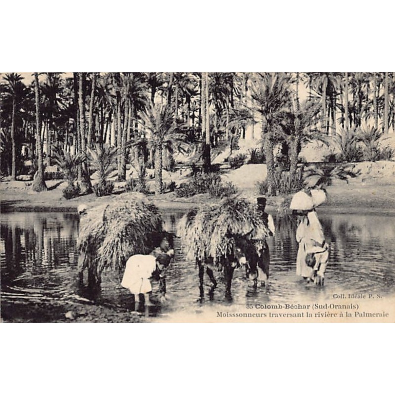 Rare collectable postcards of ALGERIA. Vintage Postcards of ALGERIA