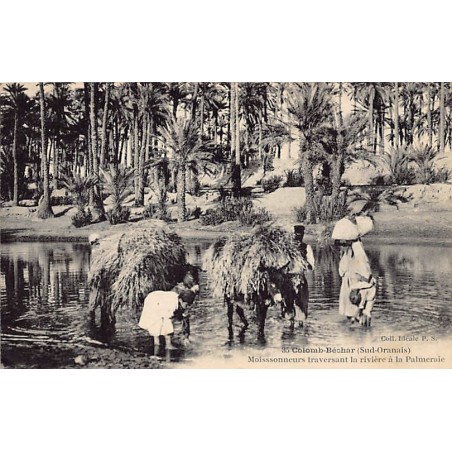 Rare collectable postcards of ALGERIA. Vintage Postcards of ALGERIA