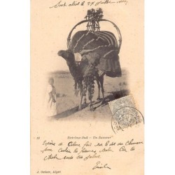 Rare collectable postcards of ALGERIA. Vintage Postcards of ALGERIA