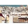 Rare collectable postcards of ALGERIA. Vintage Postcards of ALGERIA