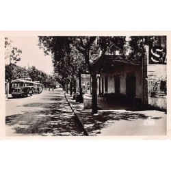 Rare collectable postcards of ALGERIA. Vintage Postcards of ALGERIA