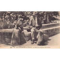 Rare collectable postcards of ALGERIA. Vintage Postcards of ALGERIA
