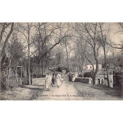 Rare collectable postcards of ALGERIA. Vintage Postcards of ALGERIA